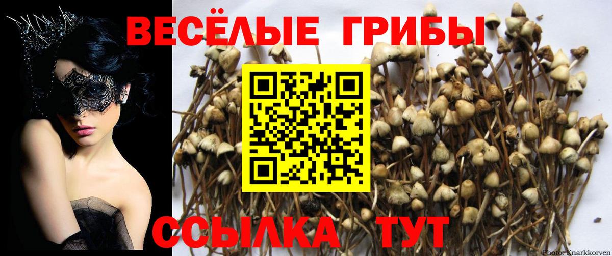 Псилоцибиновые грибы Magic Shrooms Орёл